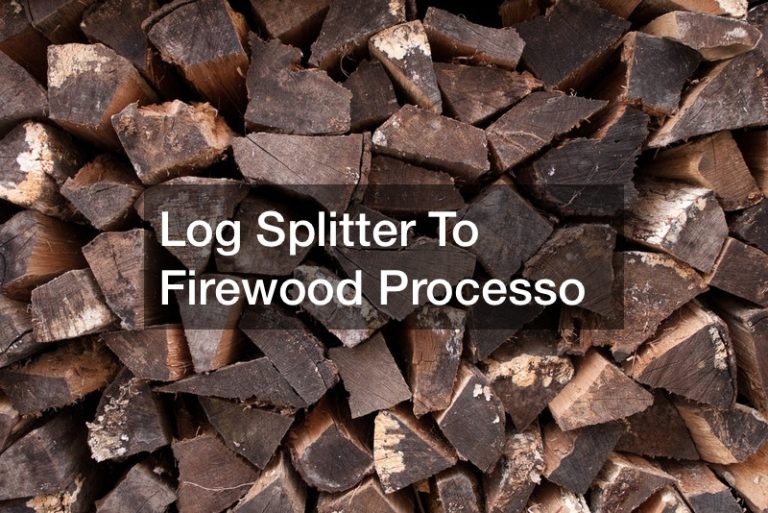 Log Splitter To Firewood Processo