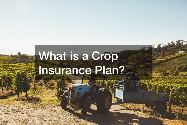 What is a Crop Insurance Plan?