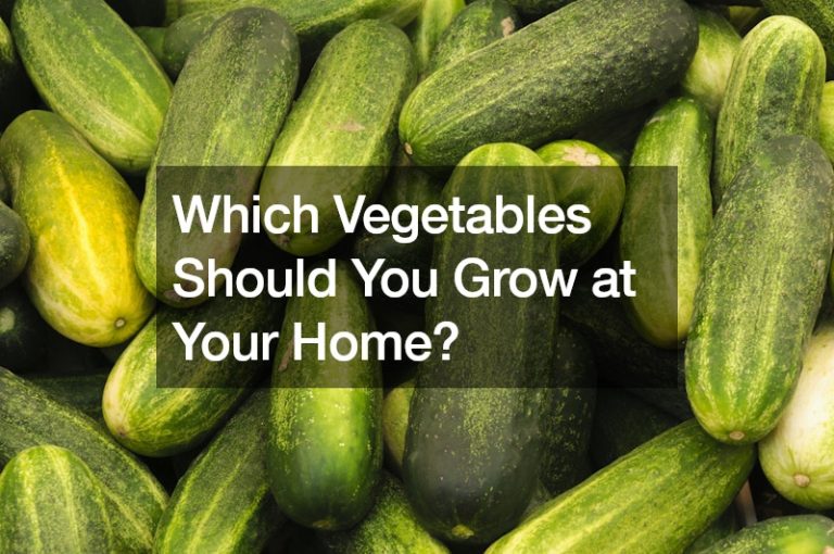 Which Vegetables Should You Grow at Your Home?